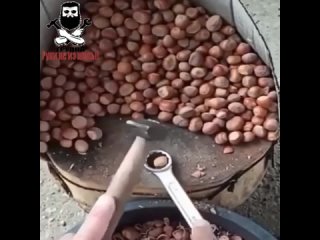 this is how you can crack nuts quickly and efficiently