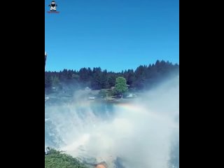 spectacular fall of a tree with a rainbow)