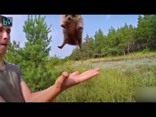 how to technically correctly deploy a hedgehog