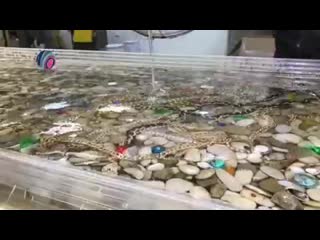 tabletop made of stones and jewels