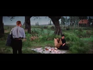 vincent van gogh (lust for life, 1956, kirk douglas)