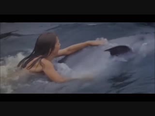 girl nadya and dolphin frigate (everything is decided by a moment, 1979)