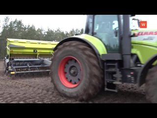 in the vyborgsky district in the midst of spring sowing