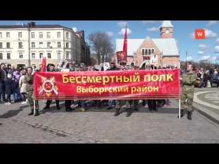 "immortal regiment" in vyborg united more than 15 thousand people