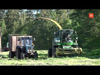 silage is being harvested at the spk "polyany"